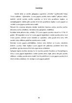 Diplomdarbs 'Lizuma pagasta jauniešu centra modelis', 89.