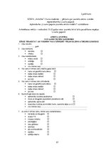 Diplomdarbs 'Lizuma pagasta jauniešu centra modelis', 97.