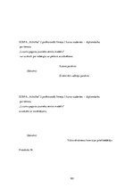 Diplomdarbs 'Lizuma pagasta jauniešu centra modelis', 101.