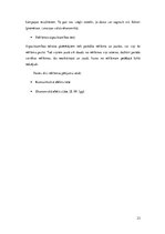 Referāts 'Preču reklāmas pilnveidošanas iespējas uzņēmumā AS "Aldaris"', 23.