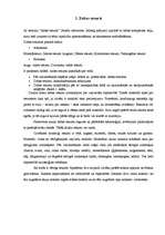 Referāts 'Vispārīgs priekšstats par dabas resursiem', 4.