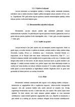 Referāts 'Vispārīgs priekšstats par dabas resursiem', 9.