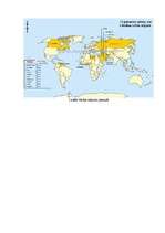 Referāts 'Vispārīgs priekšstats par dabas resursiem', 12.