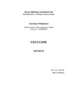 Referāts 'Celuloze - biopolimērs', 1.