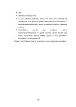 Referāts 'Celuloze - biopolimērs', 10.