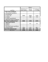 Biznesa plāns 'SIA "Gabriella"', 9.