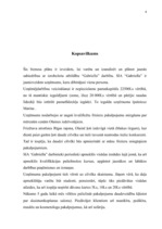 Biznesa plāns 'SIA "Gabriella"', 15.