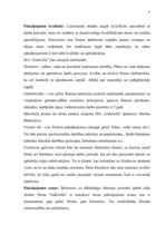 Biznesa plāns 'SIA "Gabriella"', 19.