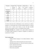 Biznesa plāns 'SIA "Gabriella"', 22.