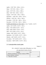 Biznesa plāns 'SIA "Gabriella"', 27.