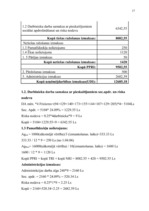 Biznesa plāns 'SIA "Gabriella"', 28.