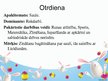 Prezentācija 'Integrēta nodarbība pirmsskolā "Lieldienas"', 10.