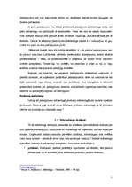 Referāts 'Mārketinga tirgus izveide', 7.