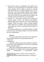 Referāts 'Mārketinga tirgus izveide', 19.