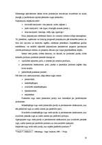 Referāts 'Mārketinga tirgus izveide', 26.