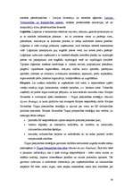 Referāts 'Mārketinga tirgus izveide', 30.