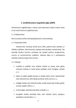 Konspekts 'Fizikālā terapija (magnētterapija)', 4.