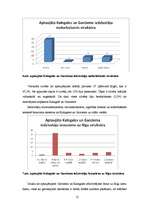 Prakses atskaite 'Iedzīvotāju dzīves un darbības telpas izpēte Carnikavas pagasta Kalngalē un Garc', 12.