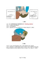 Referāts 'Darba aizsardzības instrukcija. Pirmā palīdzība aroda negadījumos', 3.