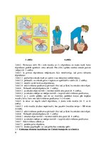 Referāts 'Darba aizsardzības instrukcija. Pirmā palīdzība aroda negadījumos', 6.