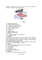 Referāts 'Darba aizsardzības instrukcija. Pirmā palīdzība aroda negadījumos', 9.