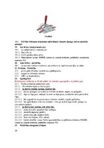 Referāts 'Darba aizsardzības instrukcija. Pirmā palīdzība aroda negadījumos', 20.