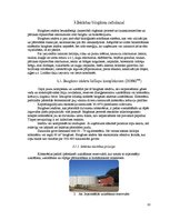 Referāts 'Biogāzes ražošana', 10.