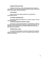 Referāts 'Biogāzes ražošana', 19.