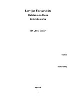 Referāts 'Uzņēmuma dibināšana, brendu un reklāmas stratēģija', 1.