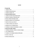 Referāts 'Uzņēmuma dibināšana, brendu un reklāmas stratēģija', 2.