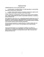 Referāts 'Uzņēmuma dibināšana, brendu un reklāmas stratēģija', 3.