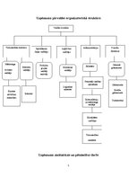 Referāts 'Uzņēmuma dibināšana, brendu un reklāmas stratēģija', 5.