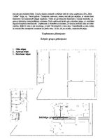 Referāts 'Uzņēmuma dibināšana, brendu un reklāmas stratēģija', 7.