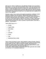 Referāts 'Uzņēmuma dibināšana, brendu un reklāmas stratēģija', 10.