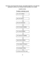 Referāts 'Uzņēmuma dibināšana, brendu un reklāmas stratēģija', 16.