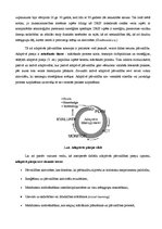 Referāts 'Vides politikas un vides pārvaldības teorētiskais koncepts', 17.