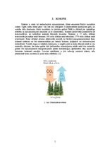 Referāts 'Koksne', 5.