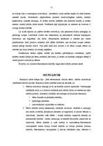 Diplomdarbs 'Jaunākā skolas vecuma bērnu mācību motivācijas veidošanās mācību procesā', 55.