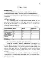 Biznesa plāns 'SIA "Label" biznesa plāns', 9.