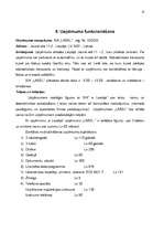 Biznesa plāns 'SIA "Label" biznesa plāns', 13.