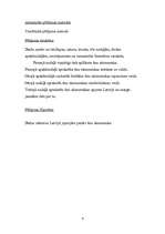 Konspekts 'Ēnu ekonomika', 4.