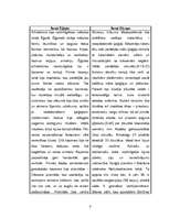 Konspekts 'Divupes un Senās Ēģiptes salīdzinājums', 8.