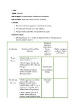 Konspekts 'Latviešu valodas stundas konspekts 5.klasei. Sinonīmi', 1.