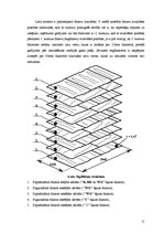 Diplomdarbs 'Lielformāta saplākšņu ražošanas jaudu optimizācijas projekts rūpnīcā', 11.