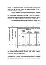 Diplomdarbs 'Lielformāta saplākšņu ražošanas jaudu optimizācijas projekts rūpnīcā', 12.