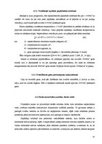 Diplomdarbs 'Lielformāta saplākšņu ražošanas jaudu optimizācijas projekts rūpnīcā', 65.