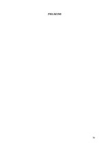 Diplomdarbs 'Lielformāta saplākšņu ražošanas jaudu optimizācijas projekts rūpnīcā', 79.