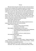 Referāts 'Ergonomiska datorvide un cilvēka veselība', 5.