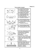 Referāts 'Ergonomiska datorvide un cilvēka veselība', 36.
