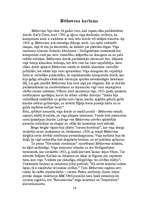 Referāts 'Vīnes klasiķi', 13.